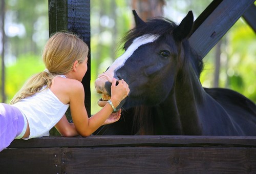 Secret love...