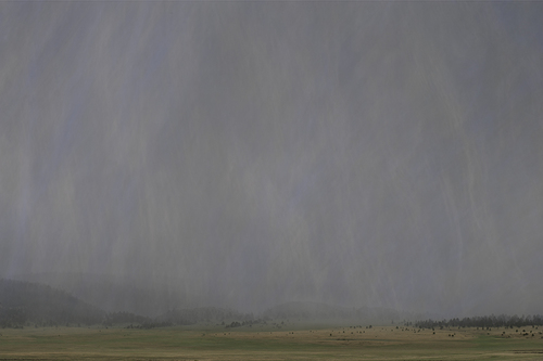 The Rainy Season