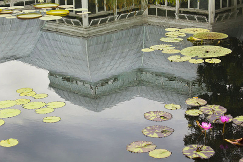 Reflection (2)