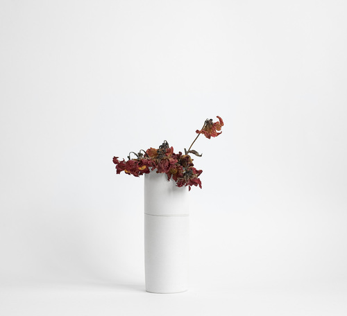 Still Life After Death - Dahlias