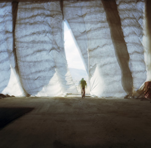 The Veil