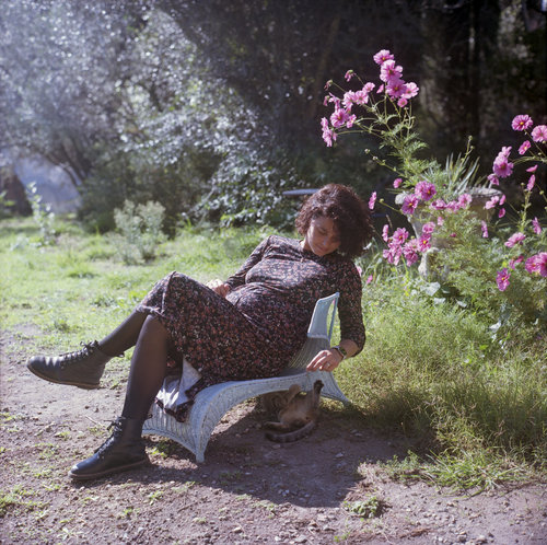 In the garden