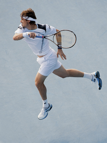 David Ferrer