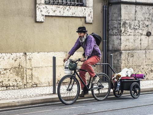 One man and his dog
