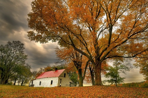 The Farm