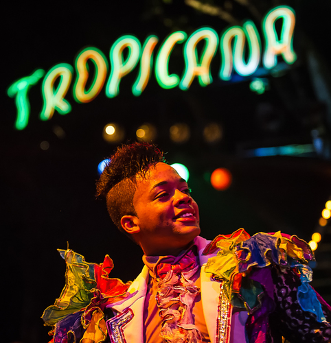 Tropicana Dream