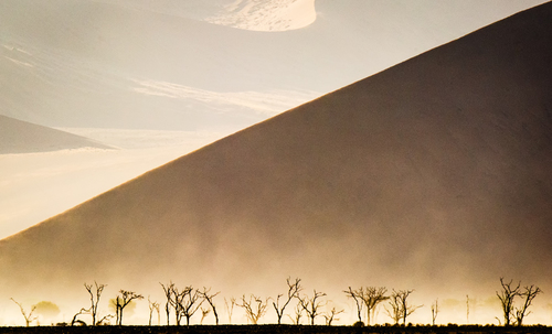Sand Fog