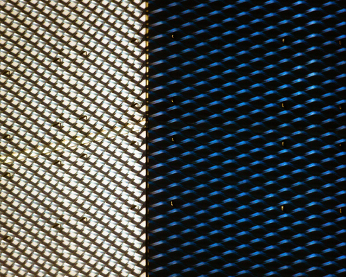 A Web of Contrasts