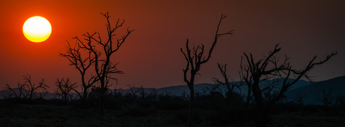 Sunset in the Dunes