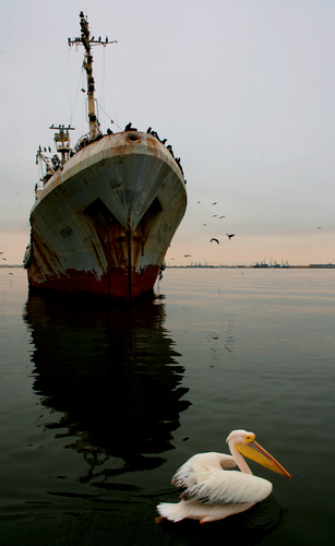 Old Boat, Walvis Bay, Namibia