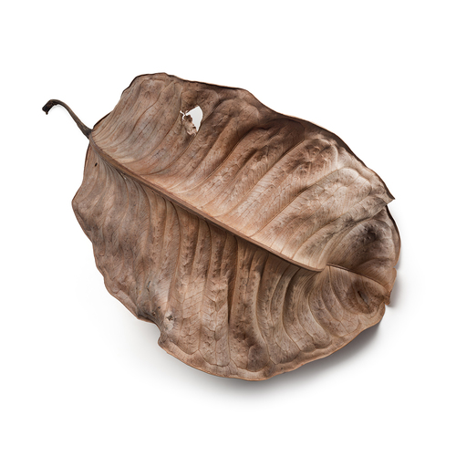 Leaf 01