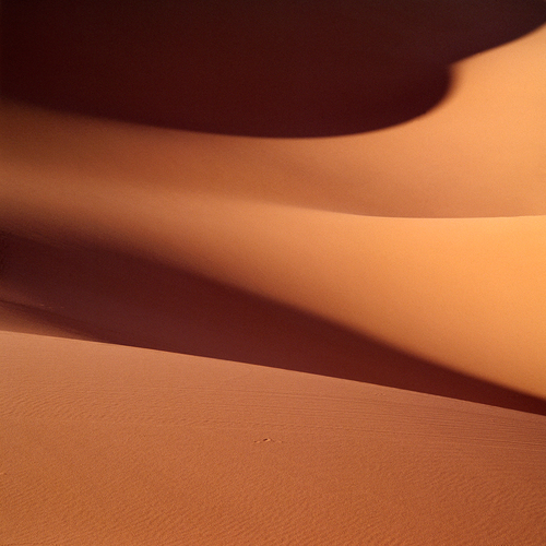 Afternoon Dunes
