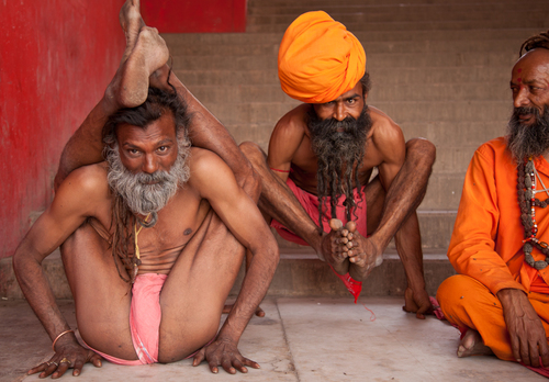 Yogis