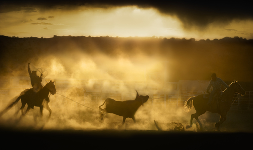 Team Roping