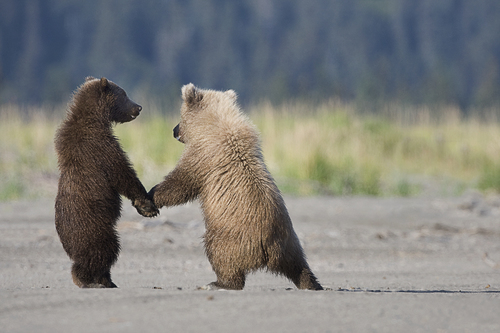 Holding Hands