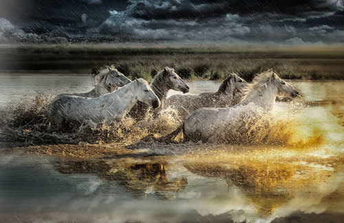 Stormy Weather