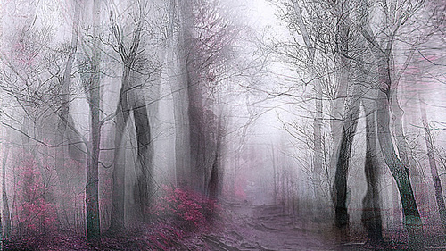 Pale Forest