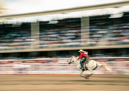 She Barrel Racer