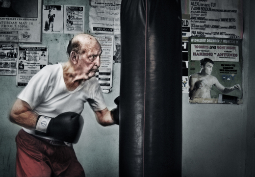 Vintage Boxer - Steve & Harding