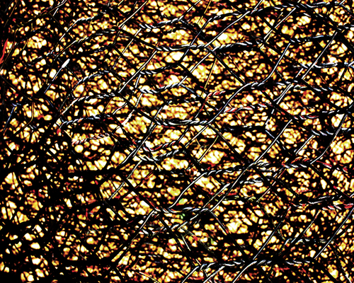 Chicken Wire