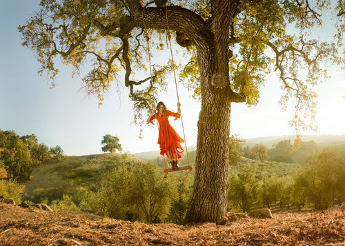 Tree Swing