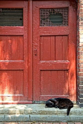 Catnap
