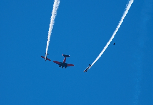 Parachutist