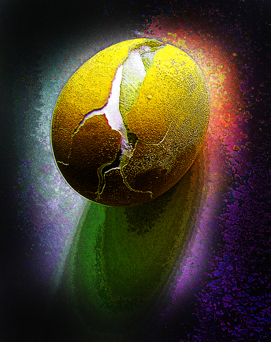 Gold Egg