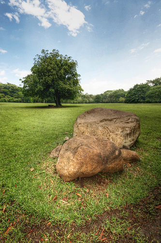 the rock