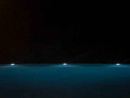 Into the Night