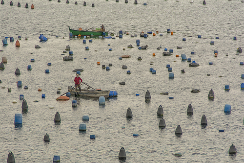 Fishing
