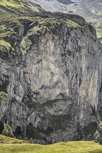 Natural Face 01
