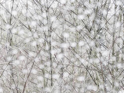 Snowflakes