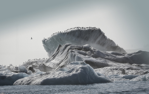 Iceberg