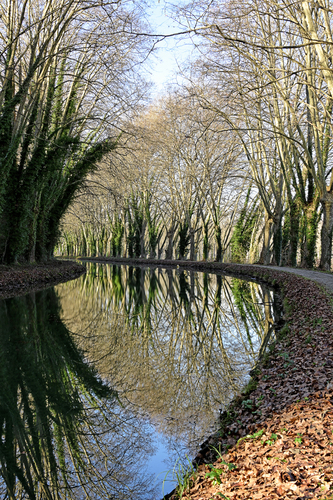 Reflection