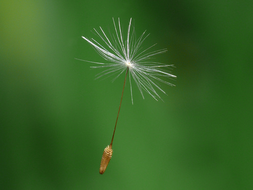 Floating Free