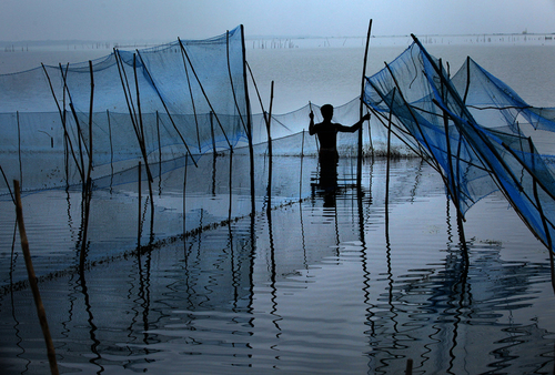 Fishing Blues