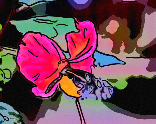 Life is colorful