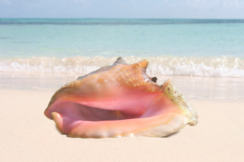 Gratis Del Mar