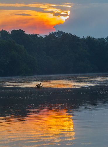 colorful late afternoon in the wetland