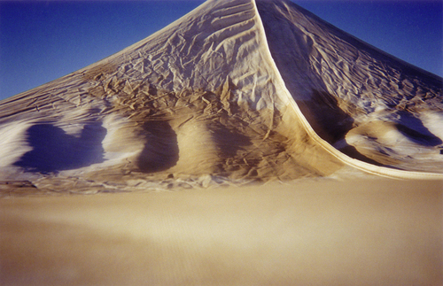 canopydunes