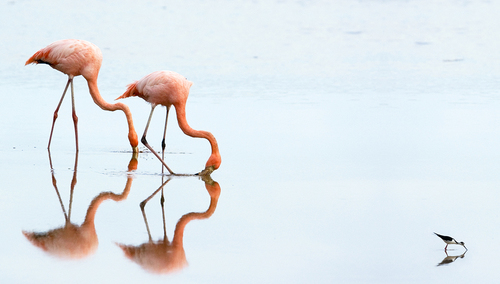 Lagoon