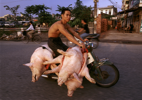 Bike of Burden