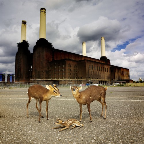 Climate consequences