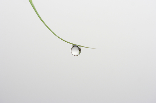 Purity