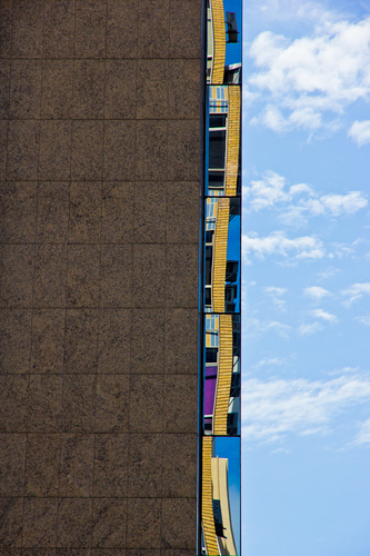 Reflection (1)