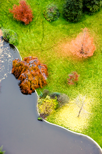 Autumn colors