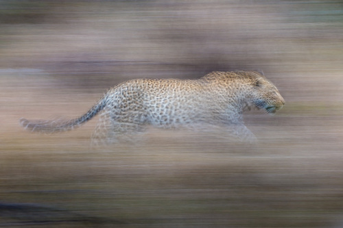 Moving