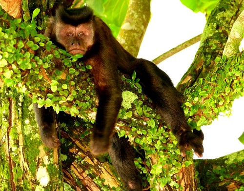 Hora do descanso