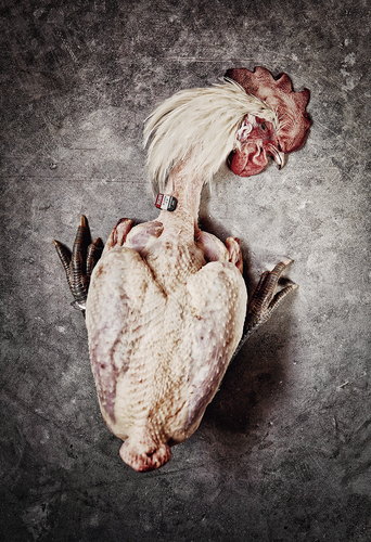 d-Funky Chicken